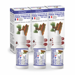 Kit com 3 unidades - Extrato de Pinus pinaster - Gotas 30 ml